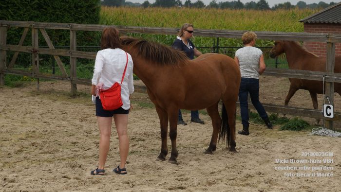 qDSC03485- Vicki Brown-huis VBH - coachen mbv paarden - 23aug2018 -  foto GerardMontE web