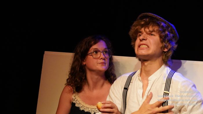 DSC01557-DSC01597- Sonsbeek Theateravenue Arnhem - oa Grof Geschud met Lijmen - 9aug2018 - foto GerardMontE web DSC01557-DSC01597- Sonsbeek Theateravenue Arnhem - oa Grof Geschud met Lijmen - 9aug2018 - foto GerardMontE web