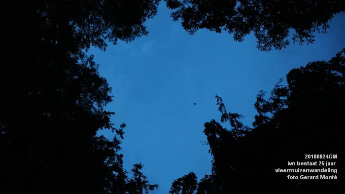 DSC02461- ivn 25 jaar - vleermuizenwandeling - 24aug2018 - foto GerardMontE web DSC02461- ivn 25 jaar - vleermuizenwandeling - 24aug2018 - foto GerardMontE web