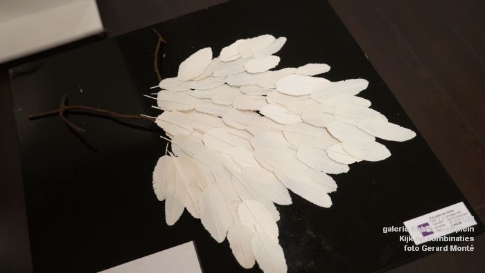 KDSC08613-  galerie Kubra Loeffplein - Kijk op combinaties - Kurtface - Iets moois - 12okt2018 -  foto GerardMontE web