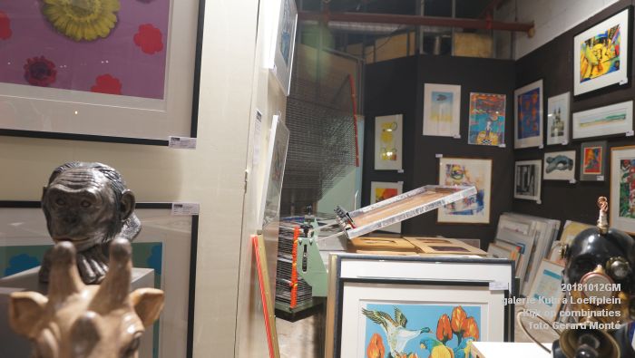 KDSC08614-KDSC08553-  galerie Kubra Loeffplein - Kijk op combinaties - Kurtface - Iets moois - 12okt2018 -  foto GerardMontE web
