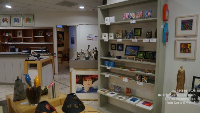 KDSC08614-KDSC08587-  galerie Kubra Loeffplein - Kijk op combinaties - Kurtface - Iets moois - 12okt2018 -  foto GerardMontE web