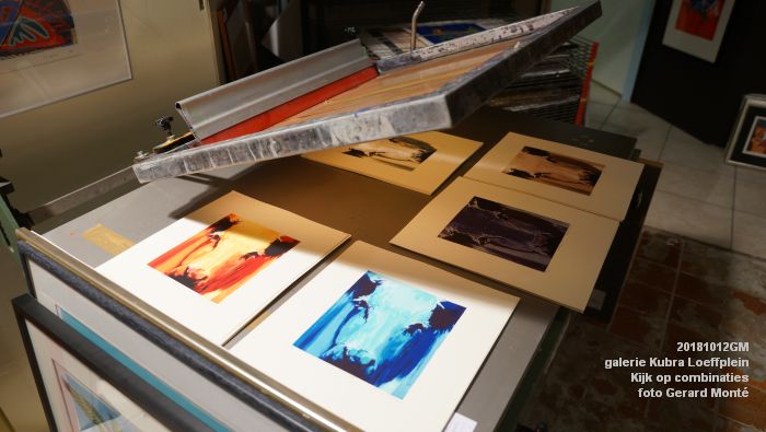KDSC08614-KDSC08594-  galerie Kubra Loeffplein - Kijk op combinaties - Kurtface - Iets moois - 12okt2018 -  foto GerardMontE web