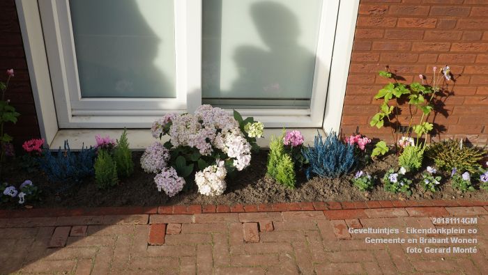 DSC02801- Geveltuintjes - Eikendonkplein - Gemeente BrabWonen - 14nov2018 -  foto GerardMontE web