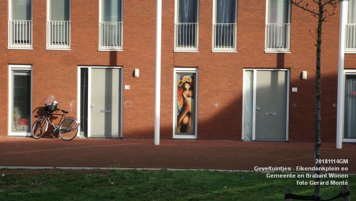 DSC02837- Geveltuintjes - Eikendonkplein - Gemeente BrabWonen - 14nov2018 -  foto GerardMontE web