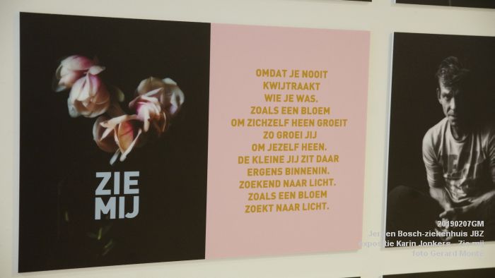 DSC04002- Jeroen Bosch-ziekenhuis JBZ - expositie karin Jonkers - Zie mij - 7febr2019 - foto GerardMontE web DSC04002- Jeroen Bosch-ziekenhuis JBZ - expositie karin Jonkers - Zie mij - 7febr2019 - foto GerardMontE web