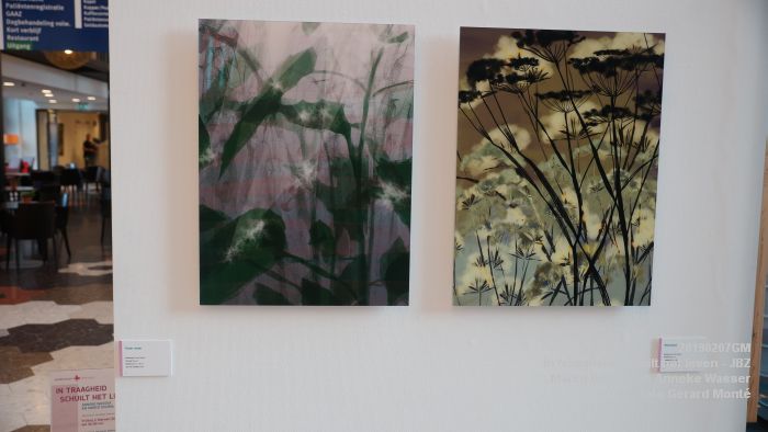 DSC04005- Jeroen Bosch-ziekenhuis JBZ - In traagheid schuilt het leven - Marco Douma en Anneke Wasser - 7febr2019 - foto GerardMontE web DSC04005- Jeroen Bosch-ziekenhuis JBZ - In traagheid schuilt het leven - Marco Douma en Anneke Wasser - 7febr2019 - foto GerardMontE web