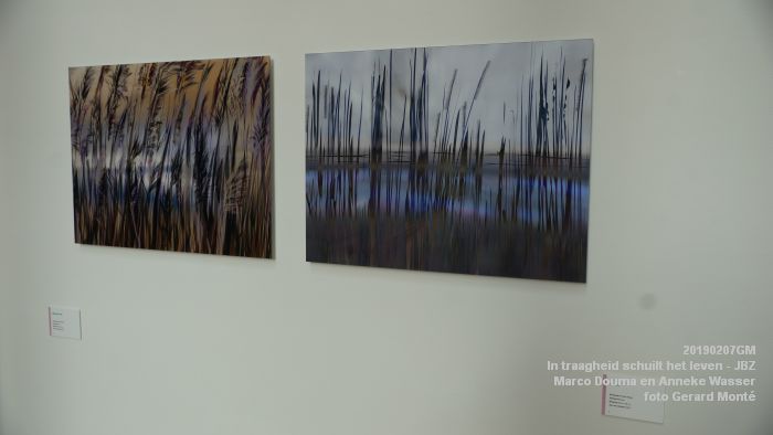 DSC04006- Jeroen Bosch-ziekenhuis JBZ - In traagheid schuilt het leven - Marco Douma en Anneke Wasser - 7febr2019 - foto GerardMontE web DSC04006- Jeroen Bosch-ziekenhuis JBZ - In traagheid schuilt het leven - Marco Douma en Anneke Wasser - 7febr2019 - foto GerardMontE web