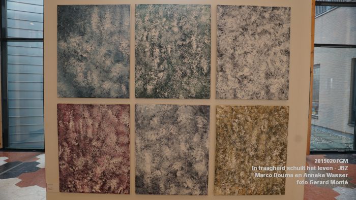 DSC04007- Jeroen Bosch-ziekenhuis JBZ - In traagheid schuilt het leven - Marco Douma en Anneke Wasser - 7febr2019 - foto GerardMontE web DSC04007- Jeroen Bosch-ziekenhuis JBZ - In traagheid schuilt het leven - Marco Douma en Anneke Wasser - 7febr2019 - foto GerardMontE web