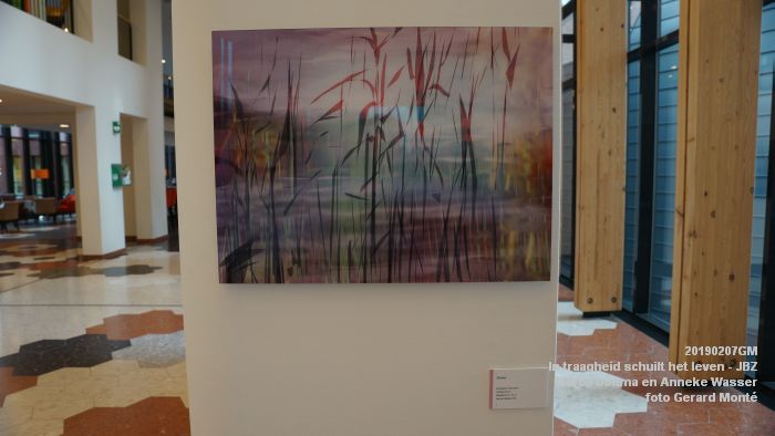 DSC04008- Jeroen Bosch-ziekenhuis JBZ - In traagheid schuilt het leven - Marco Douma en Anneke Wasser - 7febr2019 - foto GerardMontE web DSC04008- Jeroen Bosch-ziekenhuis JBZ - In traagheid schuilt het leven - Marco Douma en Anneke Wasser - 7febr2019 - foto GerardMontE web