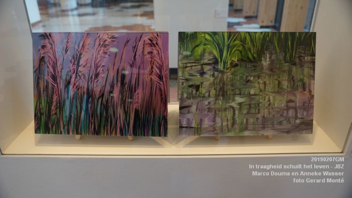 DSC04010- Jeroen Bosch-ziekenhuis JBZ - In traagheid schuilt het leven - Marco Douma en Anneke Wasser - 7febr2019 - foto GerardMontE web DSC04010- Jeroen Bosch-ziekenhuis JBZ - In traagheid schuilt het leven - Marco Douma en Anneke Wasser - 7febr2019 - foto GerardMontE web