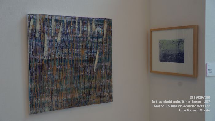 DSC04017- Jeroen Bosch-ziekenhuis JBZ - In traagheid schuilt het leven - Marco Douma en Anneke Wasser - 7febr2019 - foto GerardMontE web DSC04017- Jeroen Bosch-ziekenhuis JBZ - In traagheid schuilt het leven - Marco Douma en Anneke Wasser - 7febr2019 - foto GerardMontE web