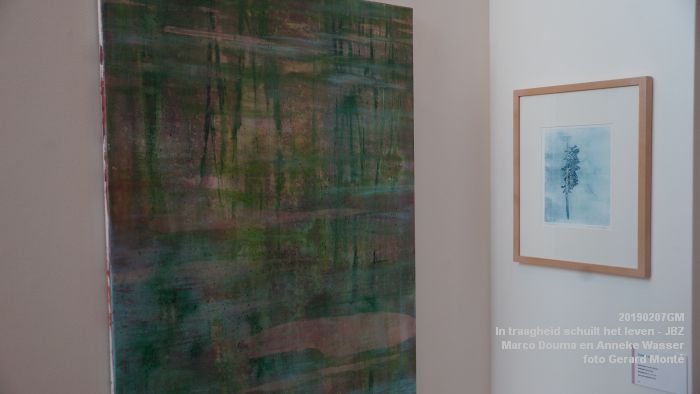 DSC04021- Jeroen Bosch-ziekenhuis JBZ - In traagheid schuilt het leven - Marco Douma en Anneke Wasser - 7febr2019 - foto GerardMontE web DSC04021- Jeroen Bosch-ziekenhuis JBZ - In traagheid schuilt het leven - Marco Douma en Anneke Wasser - 7febr2019 - foto GerardMontE web