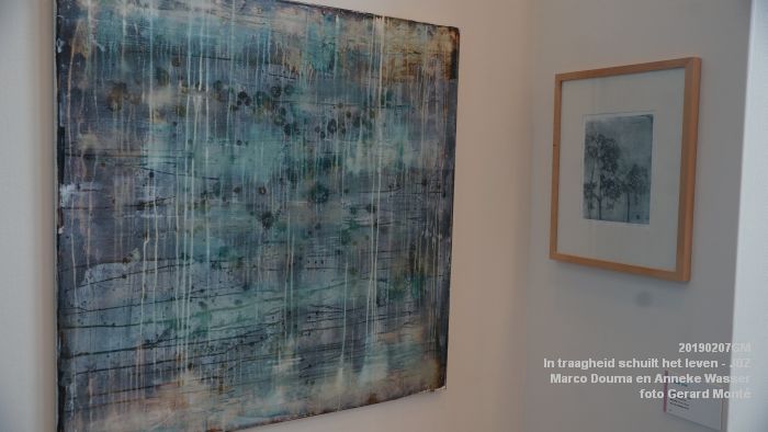 DSC04022- Jeroen Bosch-ziekenhuis JBZ - In traagheid schuilt het leven - Marco Douma en Anneke Wasser - 7febr2019 - foto GerardMontE web DSC04022- Jeroen Bosch-ziekenhuis JBZ - In traagheid schuilt het leven - Marco Douma en Anneke Wasser - 7febr2019 - foto GerardMontE web