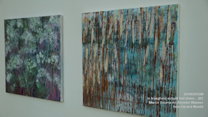 DSC04024- Jeroen Bosch-ziekenhuis JBZ - In traagheid schuilt het leven - Marco Douma en Anneke Wasser - 7febr2019 - foto GerardMontE web DSC04024- Jeroen Bosch-ziekenhuis JBZ - In traagheid schuilt het leven - Marco Douma en Anneke Wasser - 7febr2019 - foto GerardMontE web