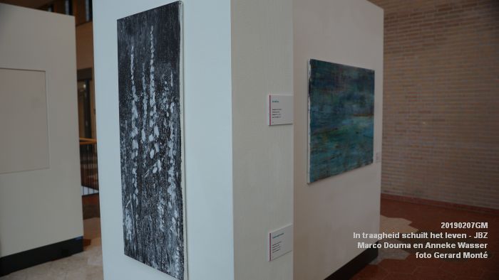 DSC04025- Jeroen Bosch-ziekenhuis JBZ - In traagheid schuilt het leven - Marco Douma en Anneke Wasser - 7febr2019 - foto GerardMontE web DSC04025- Jeroen Bosch-ziekenhuis JBZ - In traagheid schuilt het leven - Marco Douma en Anneke Wasser - 7febr2019 - foto GerardMontE web