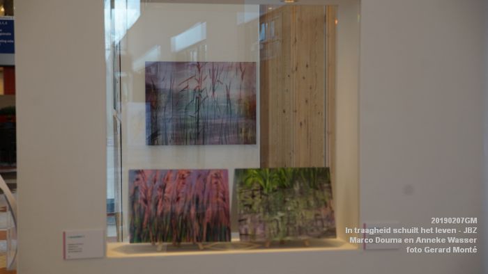 DSC04026- Jeroen Bosch-ziekenhuis JBZ - In traagheid schuilt het leven - Marco Douma en Anneke Wasser - 7febr2019 - foto GerardMontE web DSC04026- Jeroen Bosch-ziekenhuis JBZ - In traagheid schuilt het leven - Marco Douma en Anneke Wasser - 7febr2019 - foto GerardMontE web