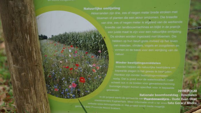 DSC08009- Nationale boomfeestdag 2019 - Rosmalen - Paardenweitjes Oude Baan Oost - 13mrt2019 -  foto GerardMontE web
