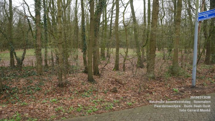 DSC08018- Nationale boomfeestdag 2019 - Rosmalen - Paardenweitjes Oude Baan Oost - 13mrt2019 -  foto GerardMontE web