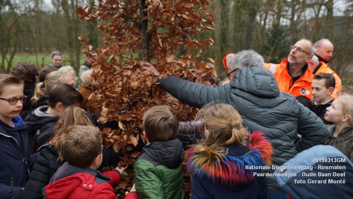 DSC08033- Nationale boomfeestdag 2019 - Rosmalen - Paardenweitjes Oude Baan Oost - 13mrt2019 -  foto GerardMontE web