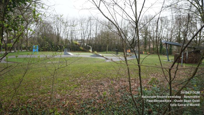 DSC08036- Nationale boomfeestdag 2019 - Rosmalen - Paardenweitjes Oude Baan Oost - 13mrt2019 -  foto GerardMontE web