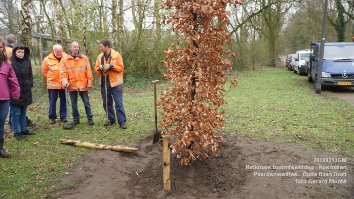 DSC08052- Nationale boomfeestdag 2019 - Rosmalen - Paardenweitjes Oude Baan Oost - 13mrt2019 -  foto GerardMontE web
