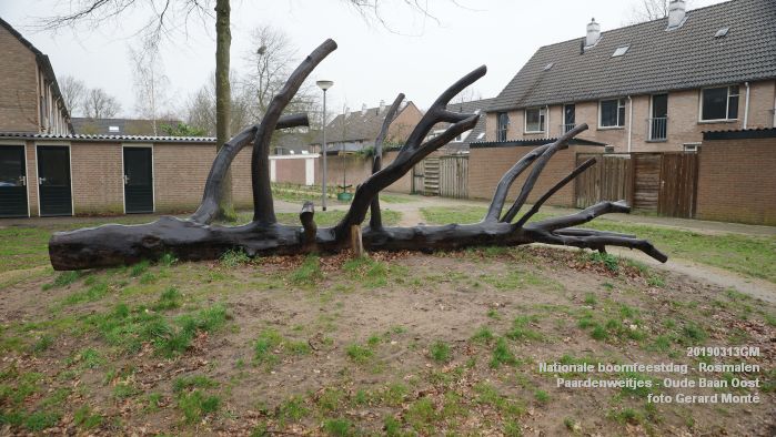 DSC08061- Nationale boomfeestdag 2019 - Rosmalen - Paardenweitjes Oude Baan Oost - 13mrt2019 -  foto GerardMontE web