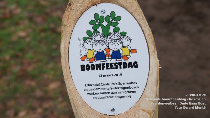 aDSC07978- Nationale boomfeestdag 2019 - Rosmalen - Paardenweitjes Oude Baan Oost - 13mrt2019 -  foto GerardMontE web
