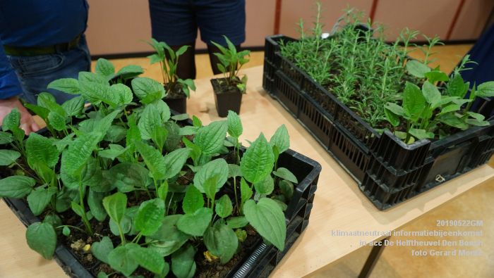 DSC09625- klimaatneurtaal informatiebijeenkomst in scc De Helftheuvel - 22mei2019 -  foto GerardMontE web