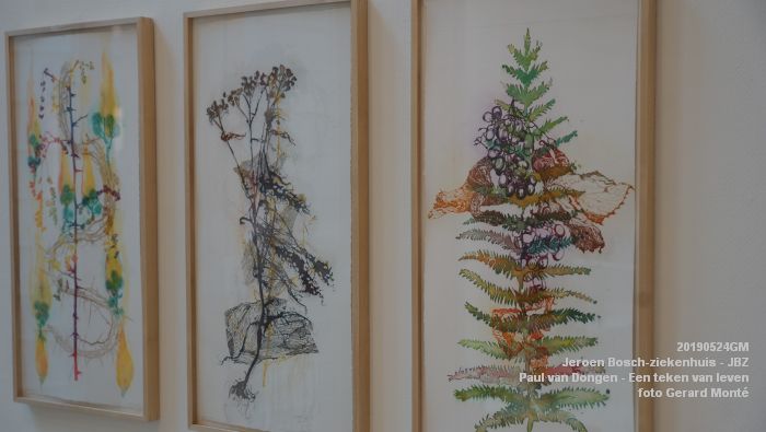 DSC09823- Jeroen Bosch-ziekenhuis JBZ - Paul van Dongen - Een teken van leven - 24mei2019 - foto GerardMontE web DSC09823- Jeroen Bosch-ziekenhuis JBZ - Paul van Dongen - Een teken van leven - 24mei2019 - foto GerardMontE web