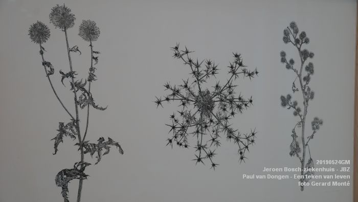 DSC09824- Jeroen Bosch-ziekenhuis JBZ - Paul van Dongen - Een teken van leven - 24mei2019 - foto GerardMontE web DSC09824- Jeroen Bosch-ziekenhuis JBZ - Paul van Dongen - Een teken van leven - 24mei2019 - foto GerardMontE web