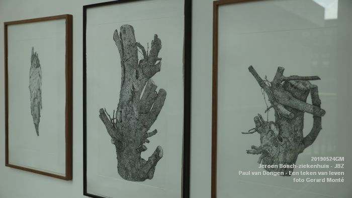 DSC09826- Jeroen Bosch-ziekenhuis JBZ - Paul van Dongen - Een teken van leven - 24mei2019 - foto GerardMontE web DSC09826- Jeroen Bosch-ziekenhuis JBZ - Paul van Dongen - Een teken van leven - 24mei2019 - foto GerardMontE web