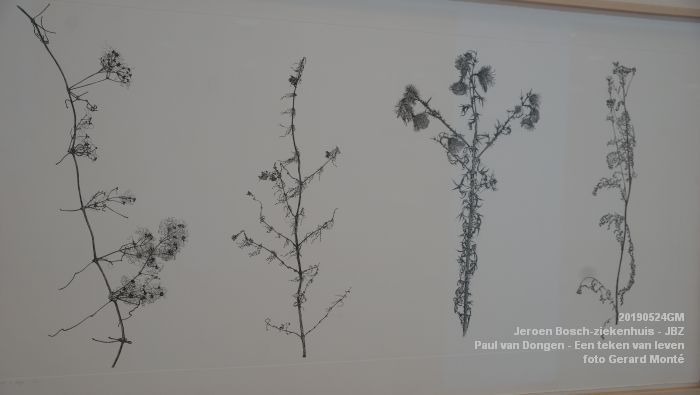DSC09827- Jeroen Bosch-ziekenhuis JBZ - Paul van Dongen - Een teken van leven - 24mei2019 - foto GerardMontE web DSC09827- Jeroen Bosch-ziekenhuis JBZ - Paul van Dongen - Een teken van leven - 24mei2019 - foto GerardMontE web