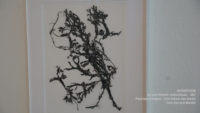 DSC09828- Jeroen Bosch-ziekenhuis JBZ - Paul van Dongen - Een teken van leven - 24mei2019 - foto GerardMontE web DSC09828- Jeroen Bosch-ziekenhuis JBZ - Paul van Dongen - Een teken van leven - 24mei2019 - foto GerardMontE web