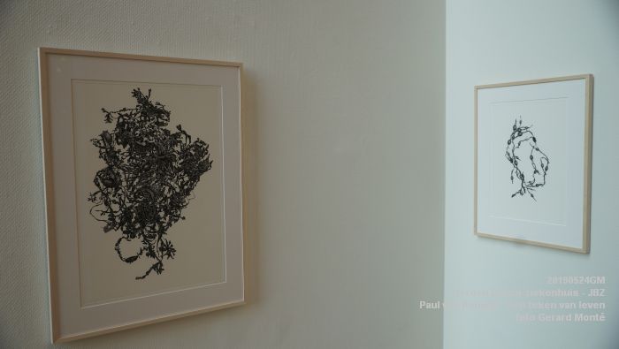 DSC09829- Jeroen Bosch-ziekenhuis JBZ - Paul van Dongen - Een teken van leven - 24mei2019 - foto GerardMontE web DSC09829- Jeroen Bosch-ziekenhuis JBZ - Paul van Dongen - Een teken van leven - 24mei2019 - foto GerardMontE web