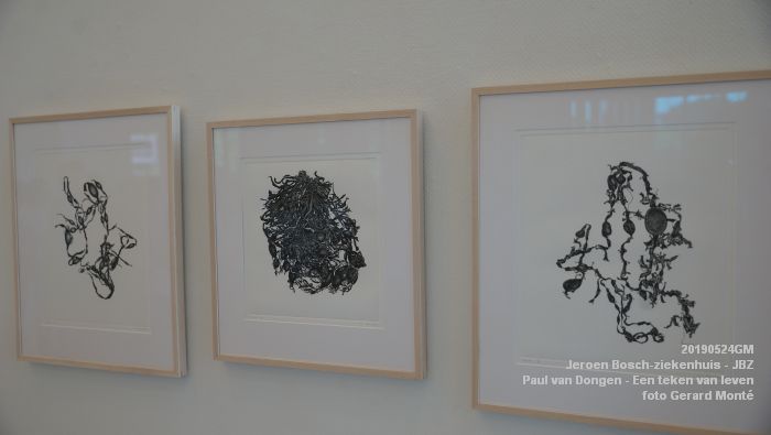DSC09830- Jeroen Bosch-ziekenhuis JBZ - Paul van Dongen - Een teken van leven - 24mei2019 - foto GerardMontE web DSC09830- Jeroen Bosch-ziekenhuis JBZ - Paul van Dongen - Een teken van leven - 24mei2019 - foto GerardMontE web