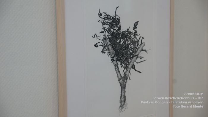 DSC09831- Jeroen Bosch-ziekenhuis JBZ - Paul van Dongen - Een teken van leven - 24mei2019 - foto GerardMontE web DSC09831- Jeroen Bosch-ziekenhuis JBZ - Paul van Dongen - Een teken van leven - 24mei2019 - foto GerardMontE web