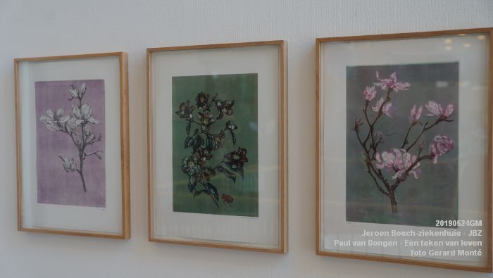 DSC09844- Jeroen Bosch-ziekenhuis JBZ - Paul van Dongen - Een teken van leven - 24mei2019 - foto GerardMontE web DSC09844- Jeroen Bosch-ziekenhuis JBZ - Paul van Dongen - Een teken van leven - 24mei2019 - foto GerardMontE web