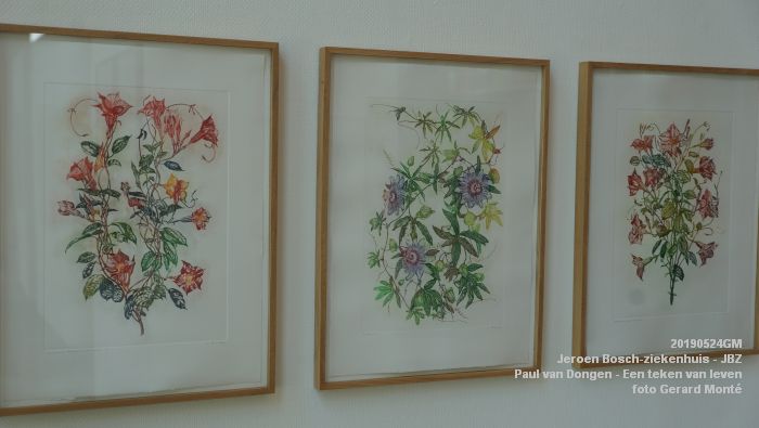 DSC09846- Jeroen Bosch-ziekenhuis JBZ - Paul van Dongen - Een teken van leven - 24mei2019 - foto GerardMontE web DSC09846- Jeroen Bosch-ziekenhuis JBZ - Paul van Dongen - Een teken van leven - 24mei2019 - foto GerardMontE web