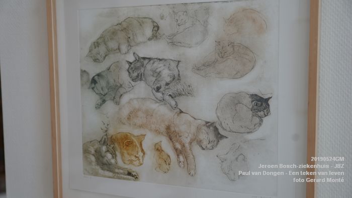 DSC09847- Jeroen Bosch-ziekenhuis JBZ - Paul van Dongen - Een teken van leven - 24mei2019 - foto GerardMontE web DSC09847- Jeroen Bosch-ziekenhuis JBZ - Paul van Dongen - Een teken van leven - 24mei2019 - foto GerardMontE web