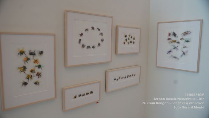 DSC09849- Jeroen Bosch-ziekenhuis JBZ - Paul van Dongen - Een teken van leven - 24mei2019 - foto GerardMontE web DSC09849- Jeroen Bosch-ziekenhuis JBZ - Paul van Dongen - Een teken van leven - 24mei2019 - foto GerardMontE web