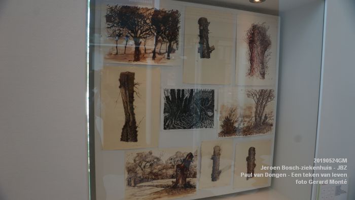 DSC09852- Jeroen Bosch-ziekenhuis JBZ - Paul van Dongen - Een teken van leven - 24mei2019 - foto GerardMontE web DSC09852- Jeroen Bosch-ziekenhuis JBZ - Paul van Dongen - Een teken van leven - 24mei2019 - foto GerardMontE web