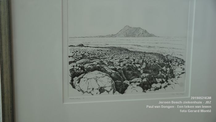 DSC09854- Jeroen Bosch-ziekenhuis JBZ - Paul van Dongen - Een teken van leven - 24mei2019 - foto GerardMontE web DSC09854- Jeroen Bosch-ziekenhuis JBZ - Paul van Dongen - Een teken van leven - 24mei2019 - foto GerardMontE web