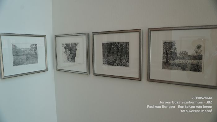 DSC09855- Jeroen Bosch-ziekenhuis JBZ - Paul van Dongen - Een teken van leven - 24mei2019 - foto GerardMontE web DSC09855- Jeroen Bosch-ziekenhuis JBZ - Paul van Dongen - Een teken van leven - 24mei2019 - foto GerardMontE web