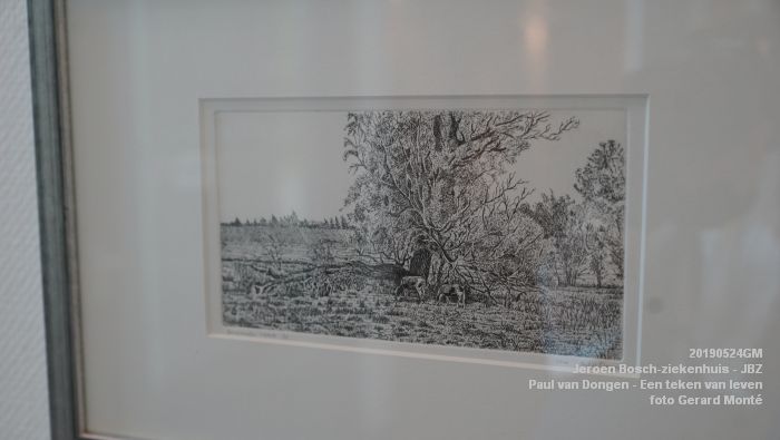 DSC09856- Jeroen Bosch-ziekenhuis JBZ - Paul van Dongen - Een teken van leven - 24mei2019 - foto GerardMontE web DSC09856- Jeroen Bosch-ziekenhuis JBZ - Paul van Dongen - Een teken van leven - 24mei2019 - foto GerardMontE web