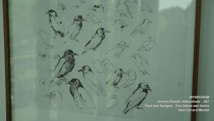 DSC09857- Jeroen Bosch-ziekenhuis JBZ - Paul van Dongen - Een teken van leven - 24mei2019 - foto GerardMontE web DSC09857- Jeroen Bosch-ziekenhuis JBZ - Paul van Dongen - Een teken van leven - 24mei2019 - foto GerardMontE web