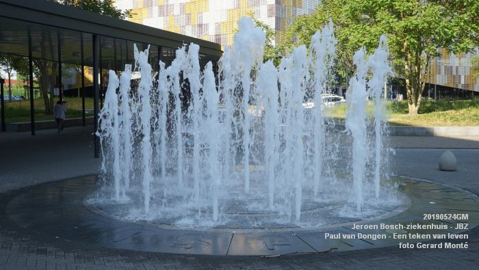 DSC09887- Jeroen Bosch-ziekenhuis JBZ - Paul van Dongen - Een teken van leven - 24mei2019 - foto GerardMontE web DSC09887- Jeroen Bosch-ziekenhuis JBZ - Paul van Dongen - Een teken van leven - 24mei2019 - foto GerardMontE web
