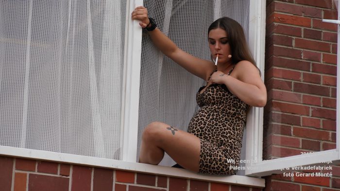 DSC00209- Wij een ode aan de Bossche volkswijk- Paleis voor volksvlijt en Vf - 24juni2019 -  foto GerardMontE web