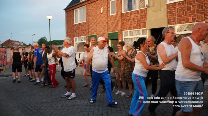 DSC00327- Wij een ode aan de Bossche volkswijk- Paleis voor volksvlijt en Vf - 24juni2019 -  foto GerardMontE web