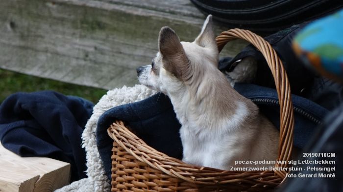 jDSC05957- poezie-podium Letterbekken - Zomerzwoele Dichterstuin - aan de Pelssingel  - 10juli019 -  foto GerardMontE web